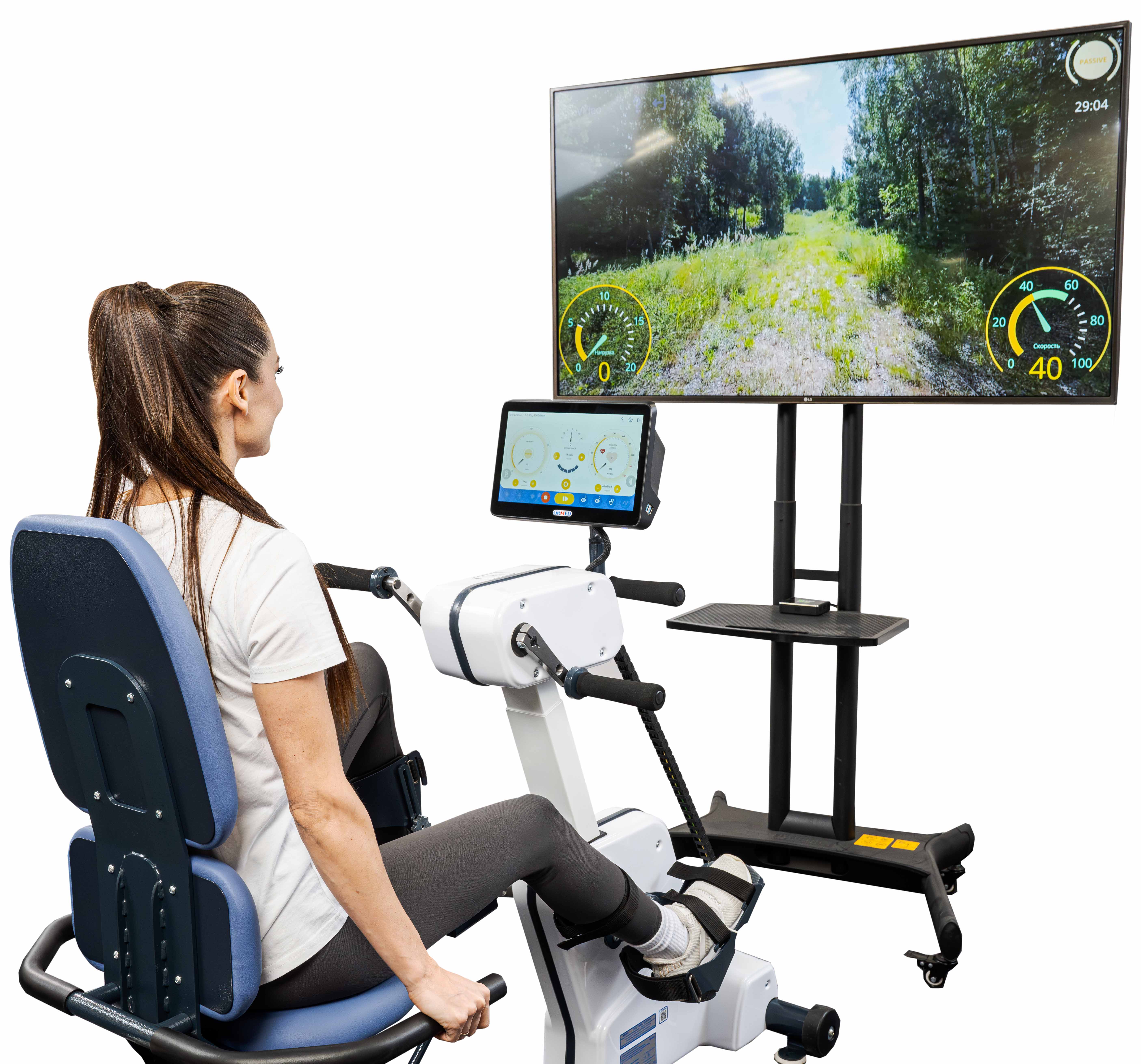 Ormed-Moto MS020 - изображение №6