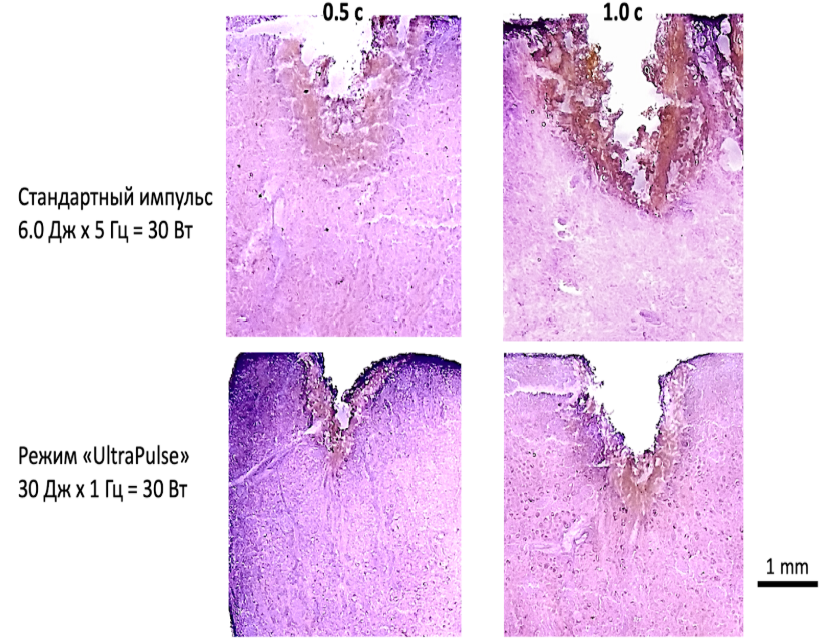 Снимок экрана 2025-01-28 173959.png Снимок экрана 2025-01-28 173959.png