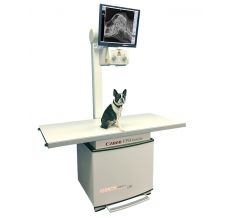 Ветеринария Стационарная рентгеновская система для ветеринарии GIERTH HF 500 smove DR