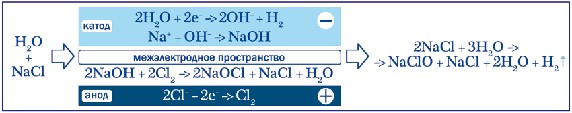 eco_pic21.jpeg eco_pic21.jpeg