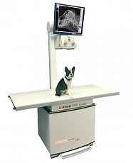 Стационарная рентгеновская система для ветеринарии GIERTH HF 500 smove DR