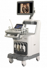 Medison Accuvix A30