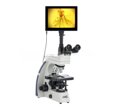 Микроскопы лабораторные Levenhuk MED D40T LCD