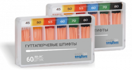 Geosoft Endoline