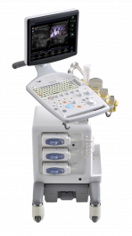 Hitachi Prosound F31