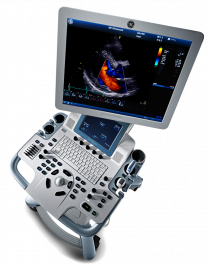 GE Vivid T8