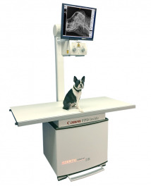 Ветеринарное рентгеновское оборудование Стационарная рентгеновская система для ветеринарии GIERTH HF 500 smove DR