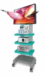 Видеосистемы Sometech Dr. Camscope DCS-103E