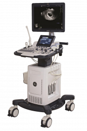 GE Logiq F8