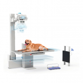 Ветеринарное рентгеновское оборудование Rayence MYVET