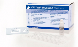 FASTest® BRUCELLA canis Бруцеллез собак