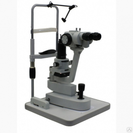 SL-P-06